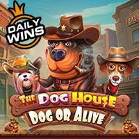 The Dog House - Dog or Alive.jpg