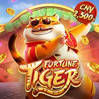 Fortune Tiger.jpg