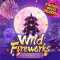 Wild Fireworks.jpg