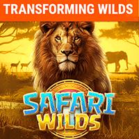 Safari Wilds.jpg