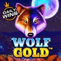 Wolf Gold.jpg