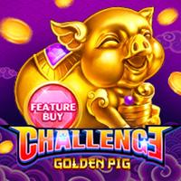 FEATURE BUY・GOLDEN PIG.jpg